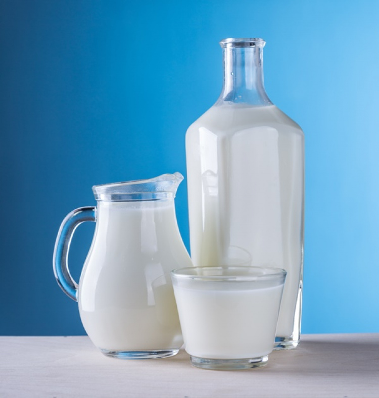 Süt Kuzusu Başvurusu Nasıl Yapılır? Nereye Yapılır? Başvuru Şartları
